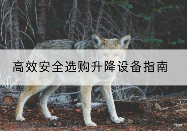 沾益升降货梯厂家推荐-*安全选购升降设备指南