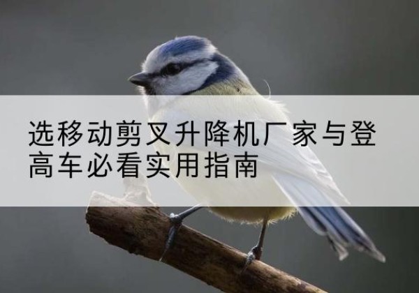 沾益电动升降机厂家-选移动剪叉升降机厂家与登高车必看实用指南