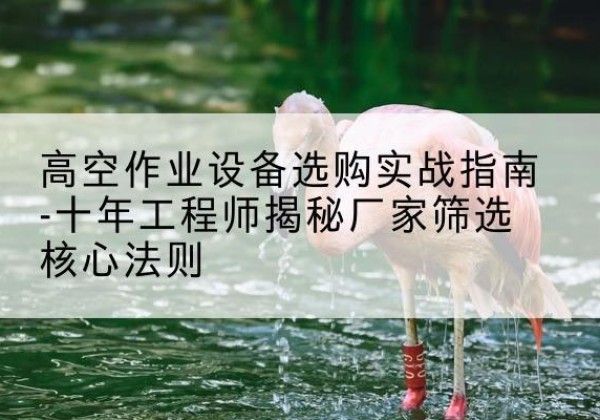 沾益剪叉式升降机厂家-高空作业设备选购实战指南-十年工程师揭秘厂家筛选核心法则